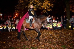 Sankt Martin im Rosenkindergarten 2025