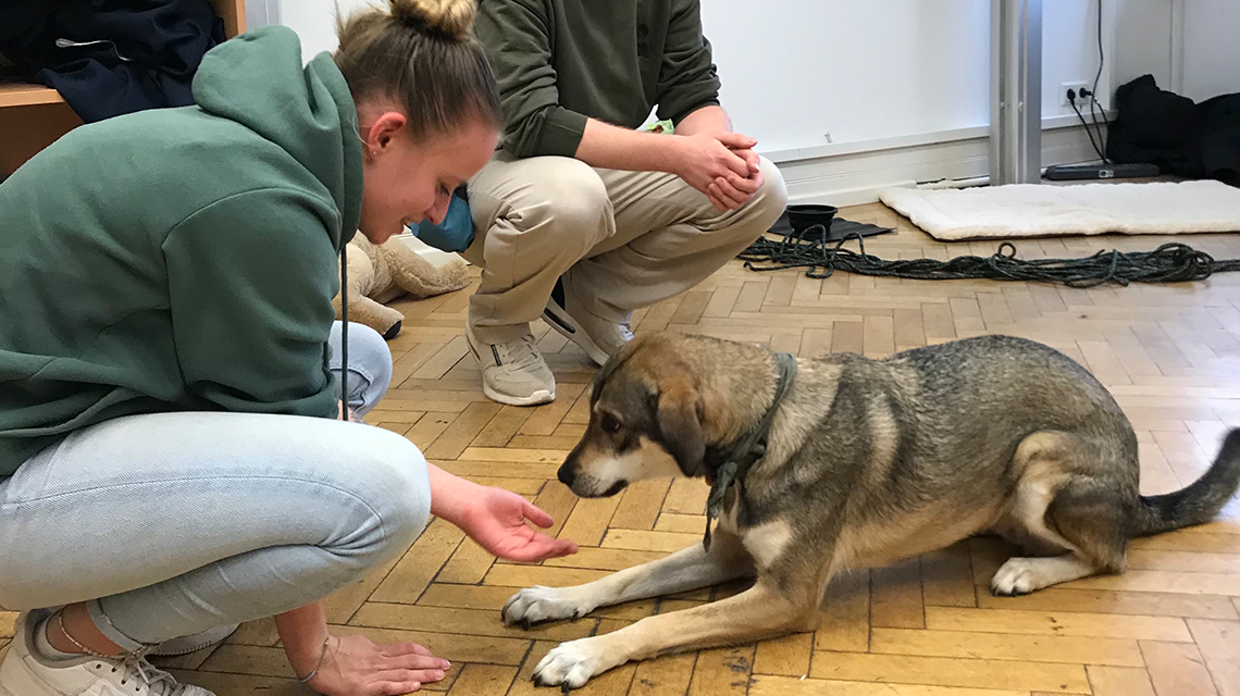 Tierischer Besuch Obermayr Business School
