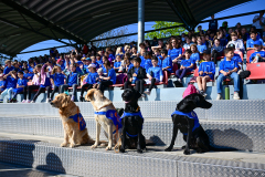 1. Chraity Lauf im Helmut-Schön-Sportpark