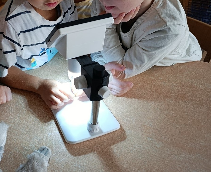 Projektwochen "What lives under the sea?"